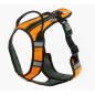 Preview: Sali Hundegeschirr V-Trek orange.jpg1
