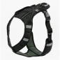 Preview: Sali-Hundegeschirr-V-Trek-Schwarz