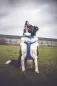 Preview: V-Trek-Hundegeschirr-Husky-Blau-