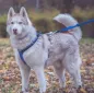 Preview: VTrek-Husky-Blau
