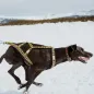 Preview: howling_dog_alaska_LightWeight_yellow_harness_zughundesport
