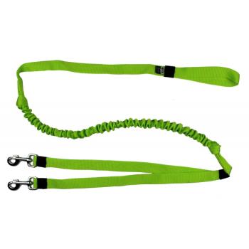 Ruckdämpferleine 2 Hunde