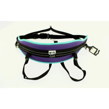 Preview: Canicross Gürtel Bold