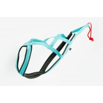 Sali_Sled_Harness_Türkis