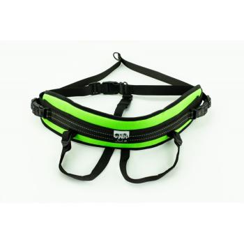 Preview: Slim Flash Canicross Laufgürtel grün