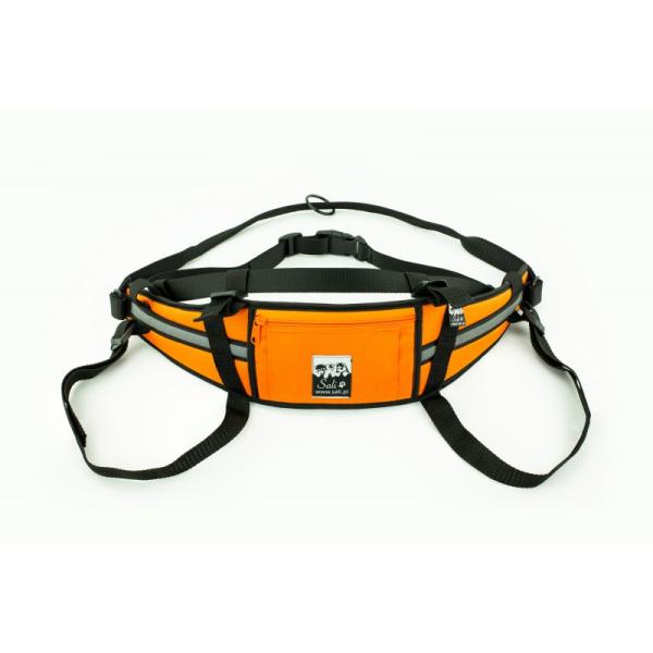 Sali_kurist_canicrossguertel_camo