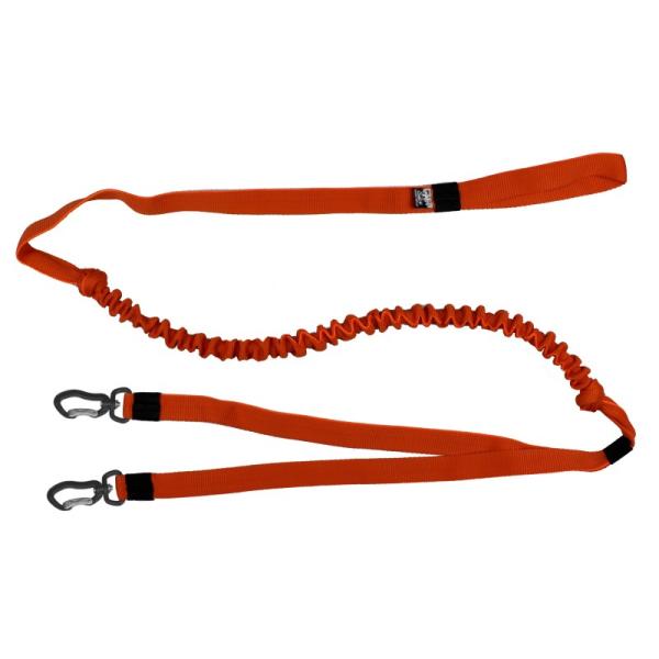 Ruckdämpferleine 2 Hunde