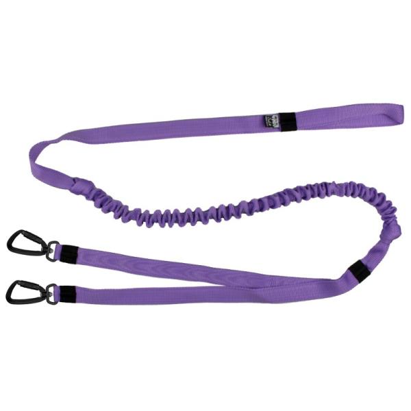 Ruckdämpferleine 2 Hunde