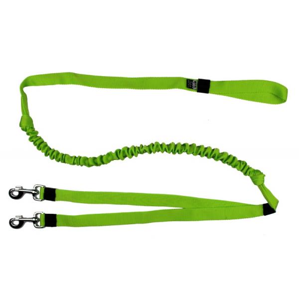 Ruckdämpferleine 2 Hunde