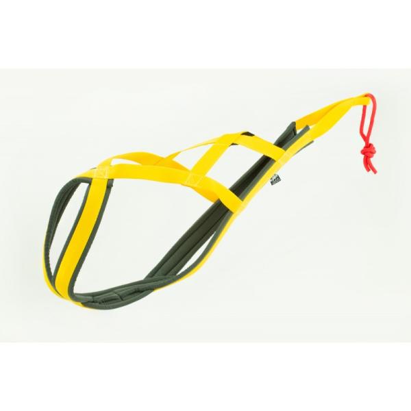 Sali_Sled_Harness_Gelb