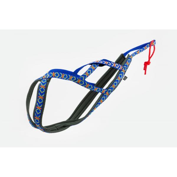 Sali_Sled_Harness_Indian_Blau