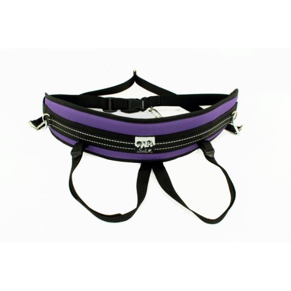 Sali_slim_laufguertel_canicross_lila