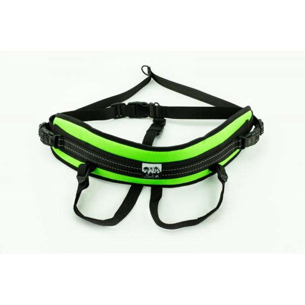 Slim Flash Canicross Laufgürtel grün