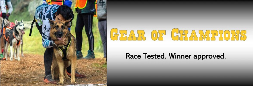 Second_Skin _Harness